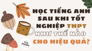 Học tiếng anh sau khi tốt nghiệp THPT như thế nào cho hiệu quả