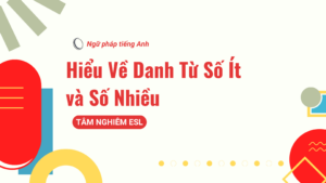 Hiểu Về Danh Từ Số Ít và Số Nhiều