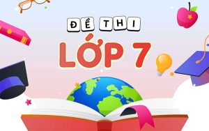 Lop 7