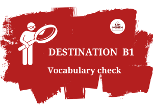 Des B1 Vocabulary Check 1